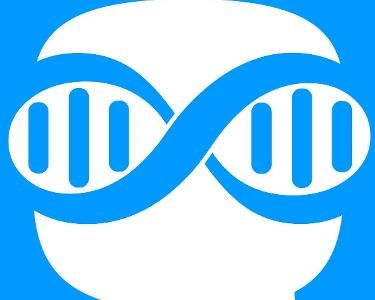 上海玩兒群信息科技